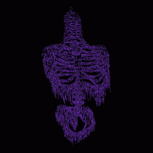 Cryptic Rising : Cryptic Rising - Skin Tension